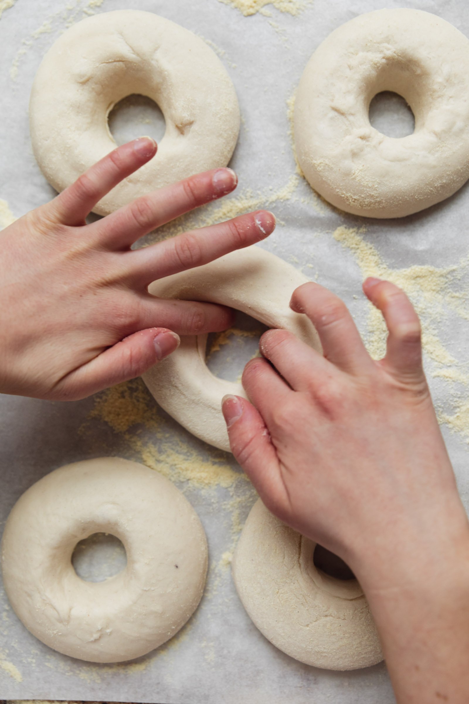 Homemade Bagels (Step by Step!) Broma Bakery