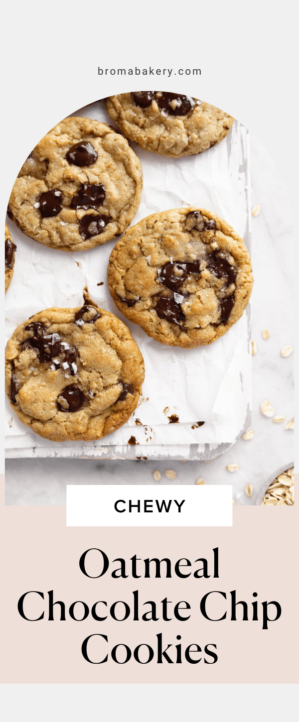 Chewy Oatmeal Chocolate Chip Cookies Broma Bakery