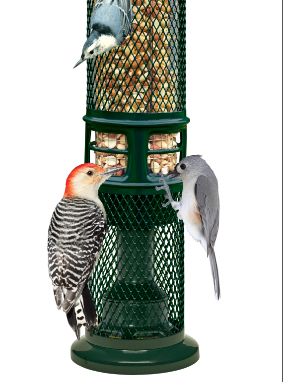 Squirrel Buster Nut Feeder Brome