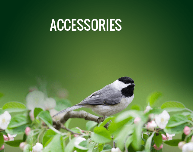 SquirrelBuster® Brome®