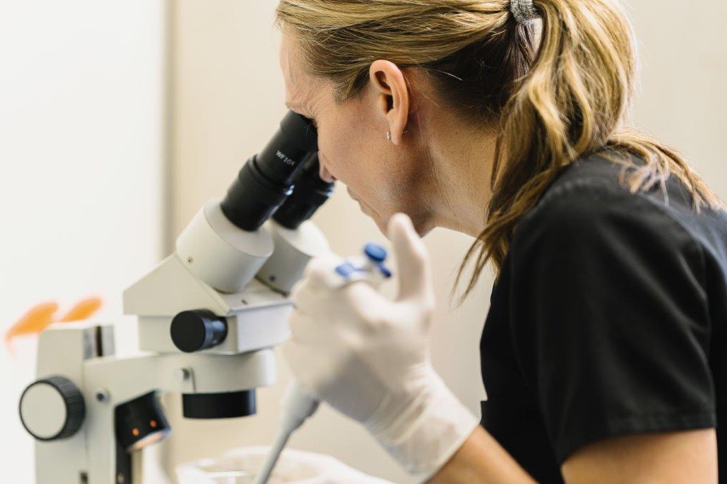 Hospital Tour Bronson Vet Services