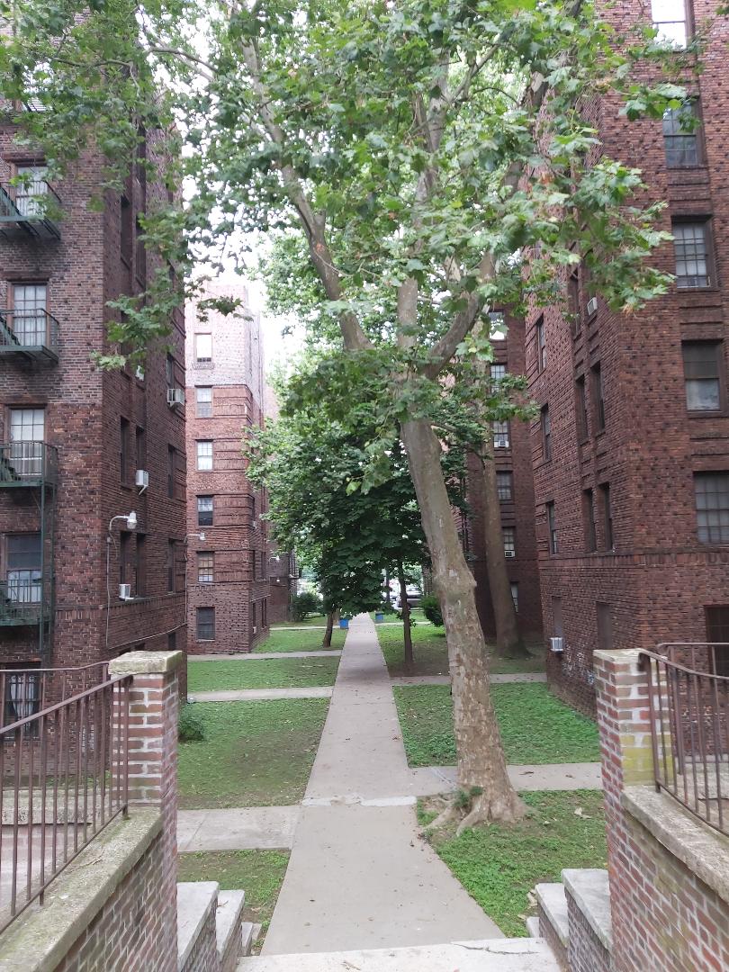 The Coops Bronx Tales