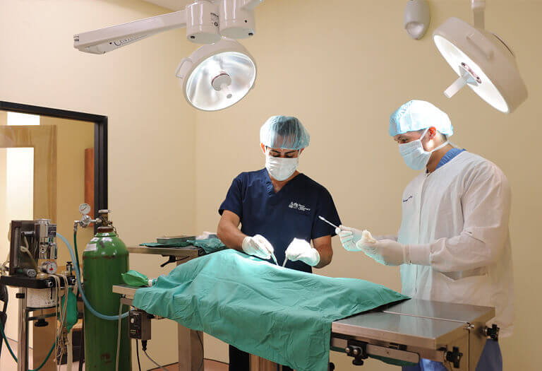 Virtual Hospital Tour Bronx Veterinary Center Bronx. NY