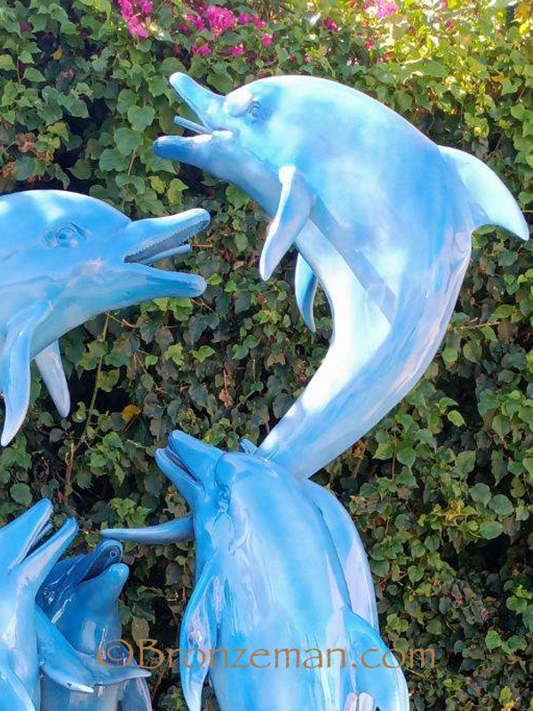 Dolphin Folly Bronzeman