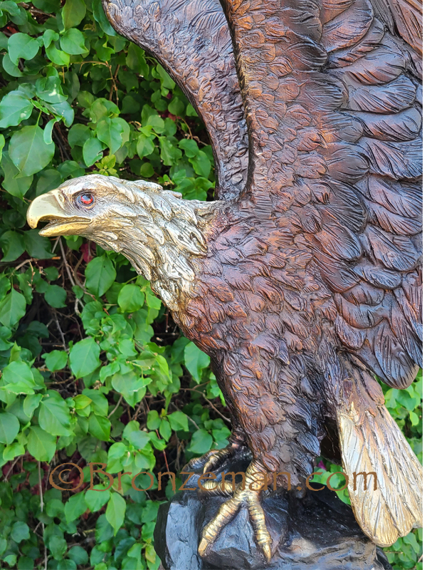 Prevailing Skies Bronzeman