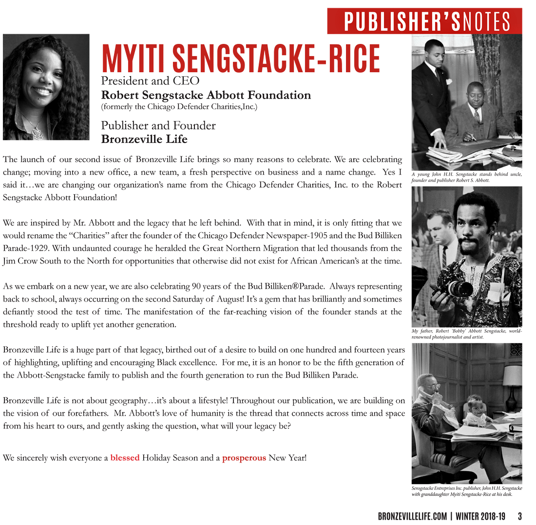 About Bronzeville Life