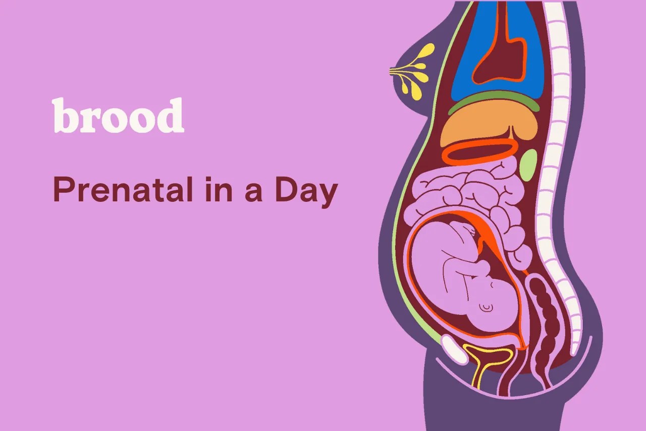 Vancouver Prenatal with Brood Brood