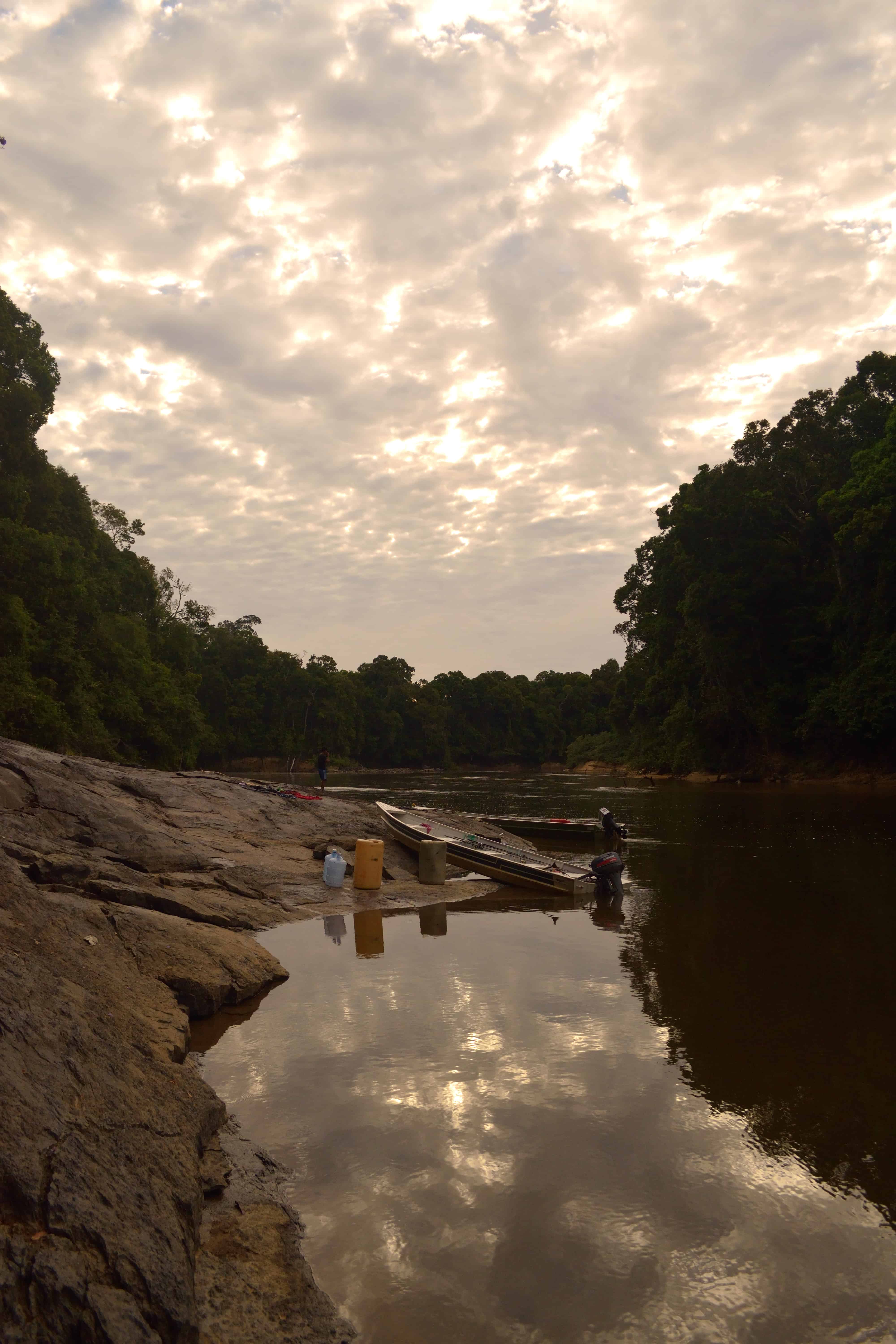Guyana Paradise for the Adventurous Angler Brookdog Fishing
