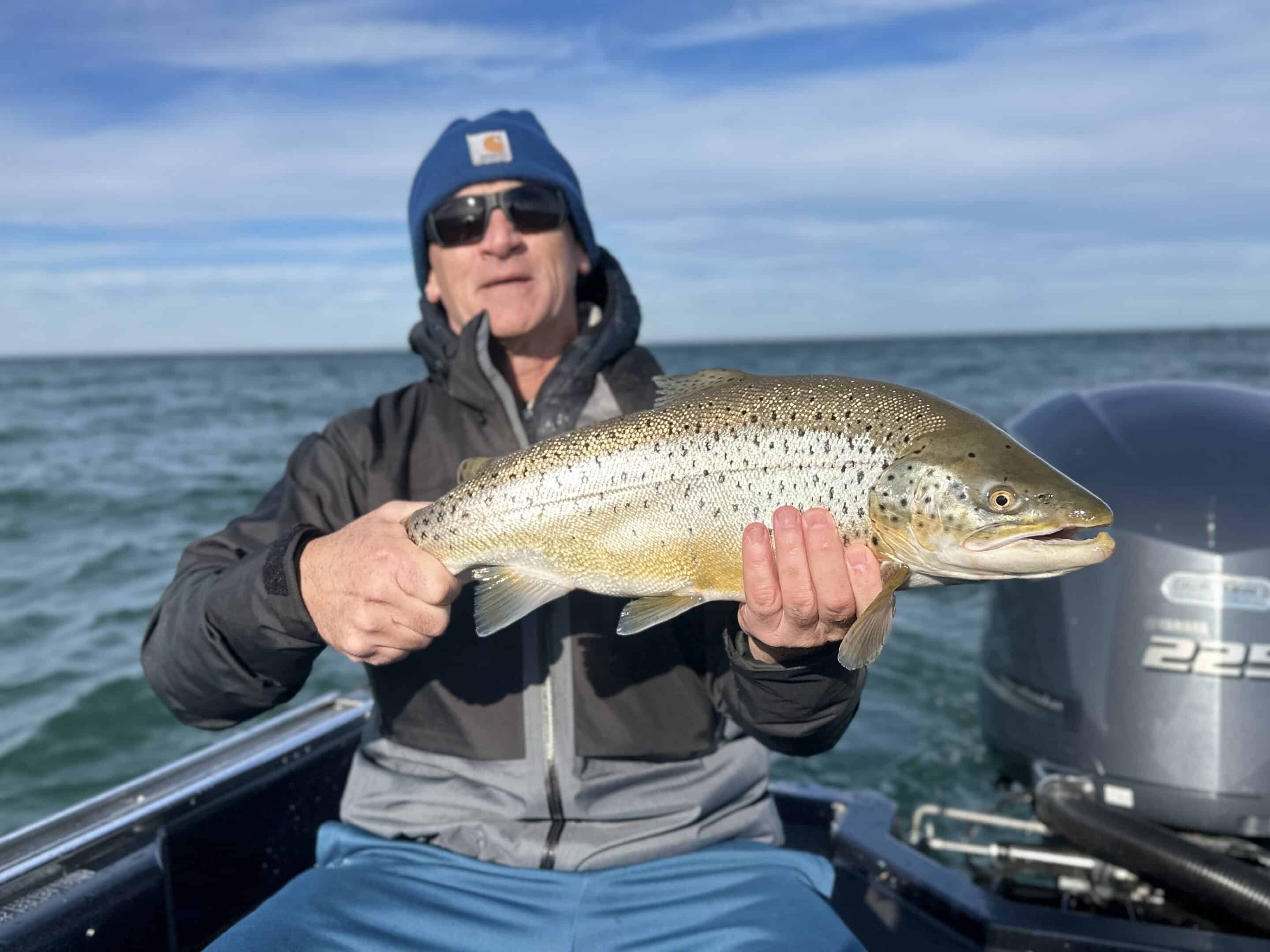 Lake Ontario Brown Trout Fishing Charters Brookdog Fishing Co.