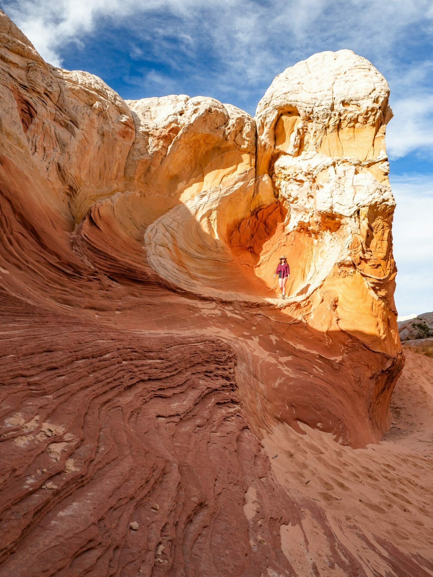 White Pocket Vermillion Cliffs National Monument Page Arizona The Wave