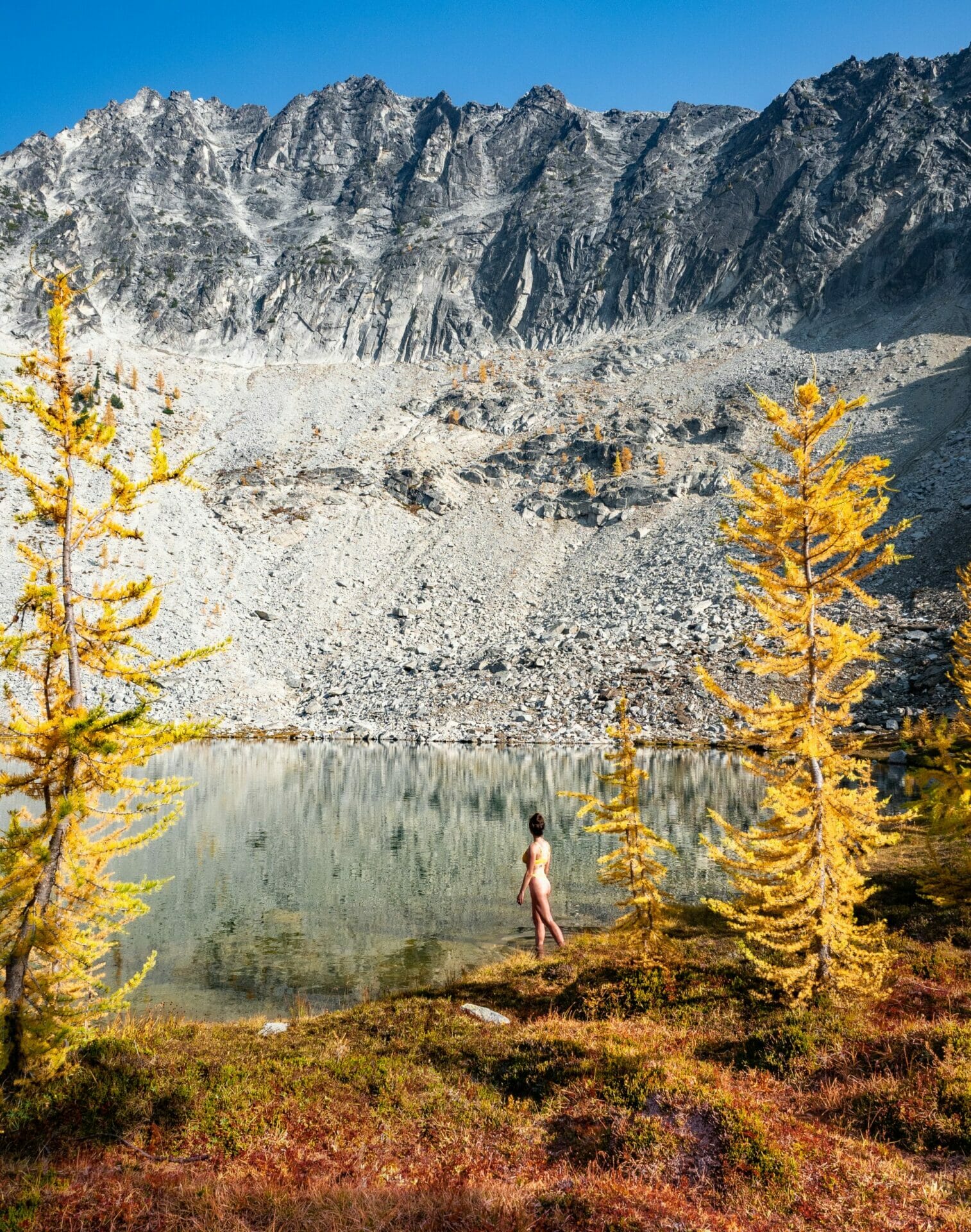 Lake Chelan Summit Trail hike golden larch Stehekin