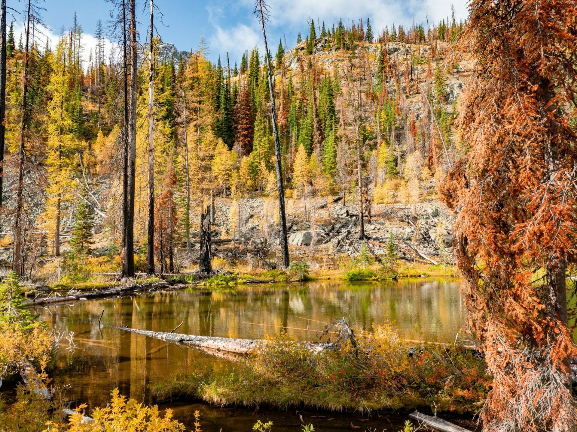 Copper Glance Lake Pasayten Wilderness day hike