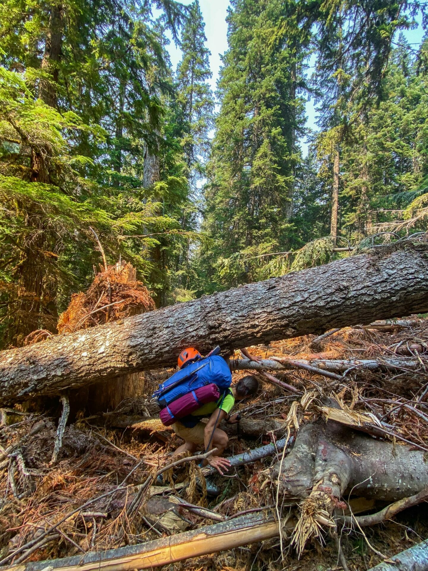 Ptarmigan Traverse North Cascades Glacier Peak mountaineering