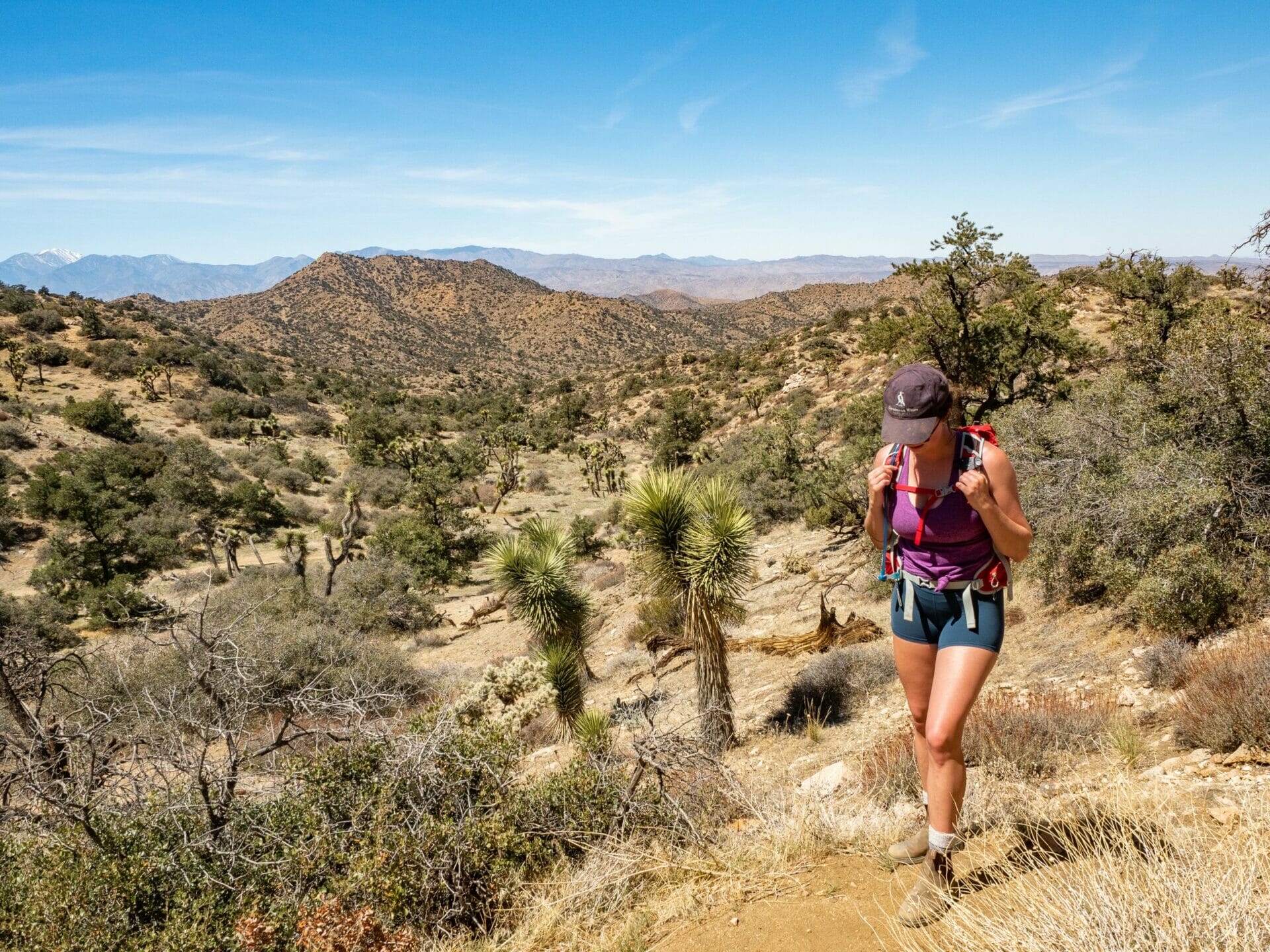 Panorama Loop hike Joshua Tree National Park