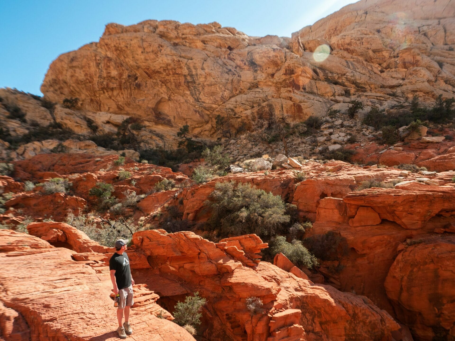 Red Rocks Red Rock Canyon Las Vegas Nevada