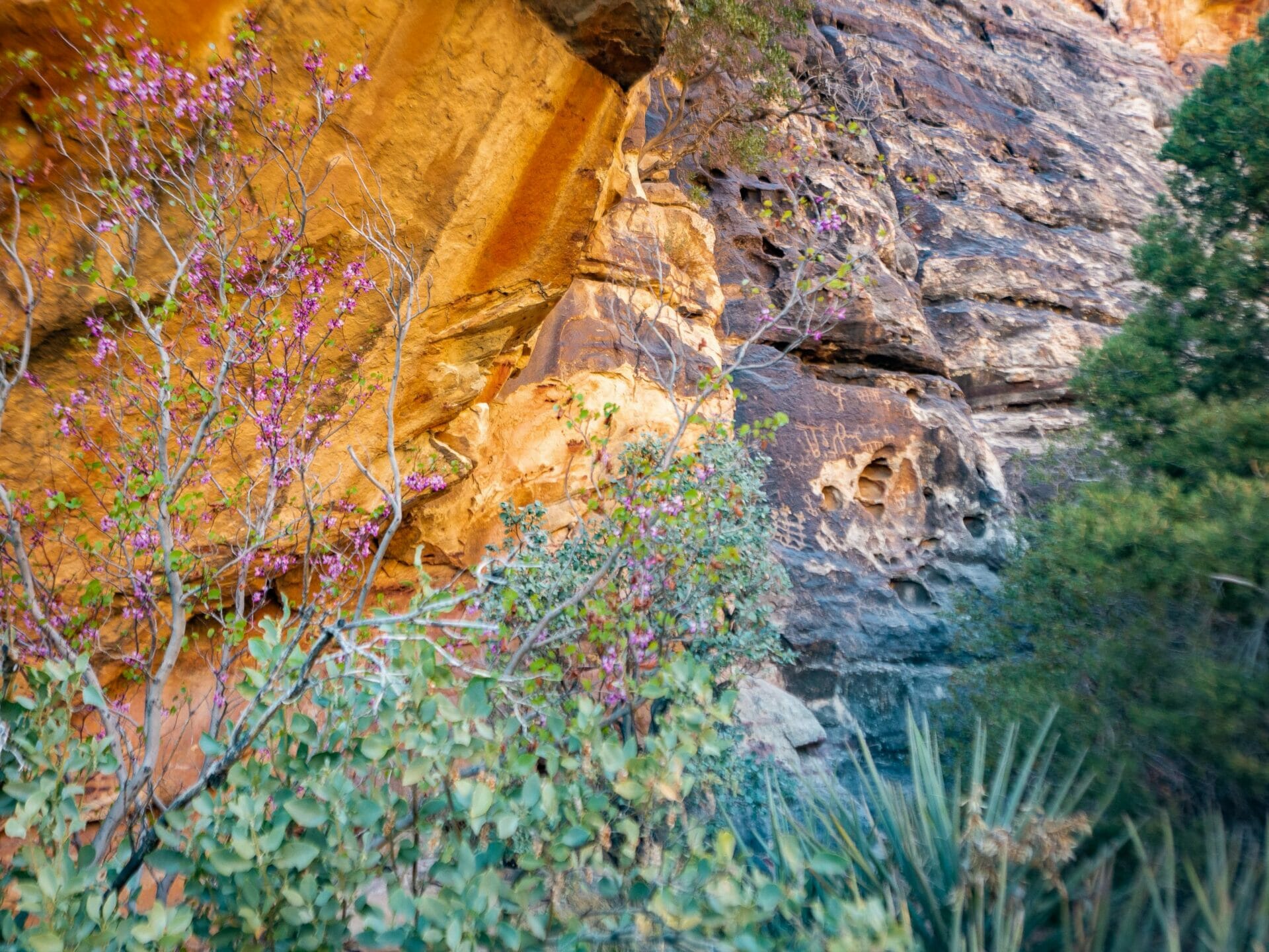 Red Rocks Red Rock Canyon Las Vegas Nevada