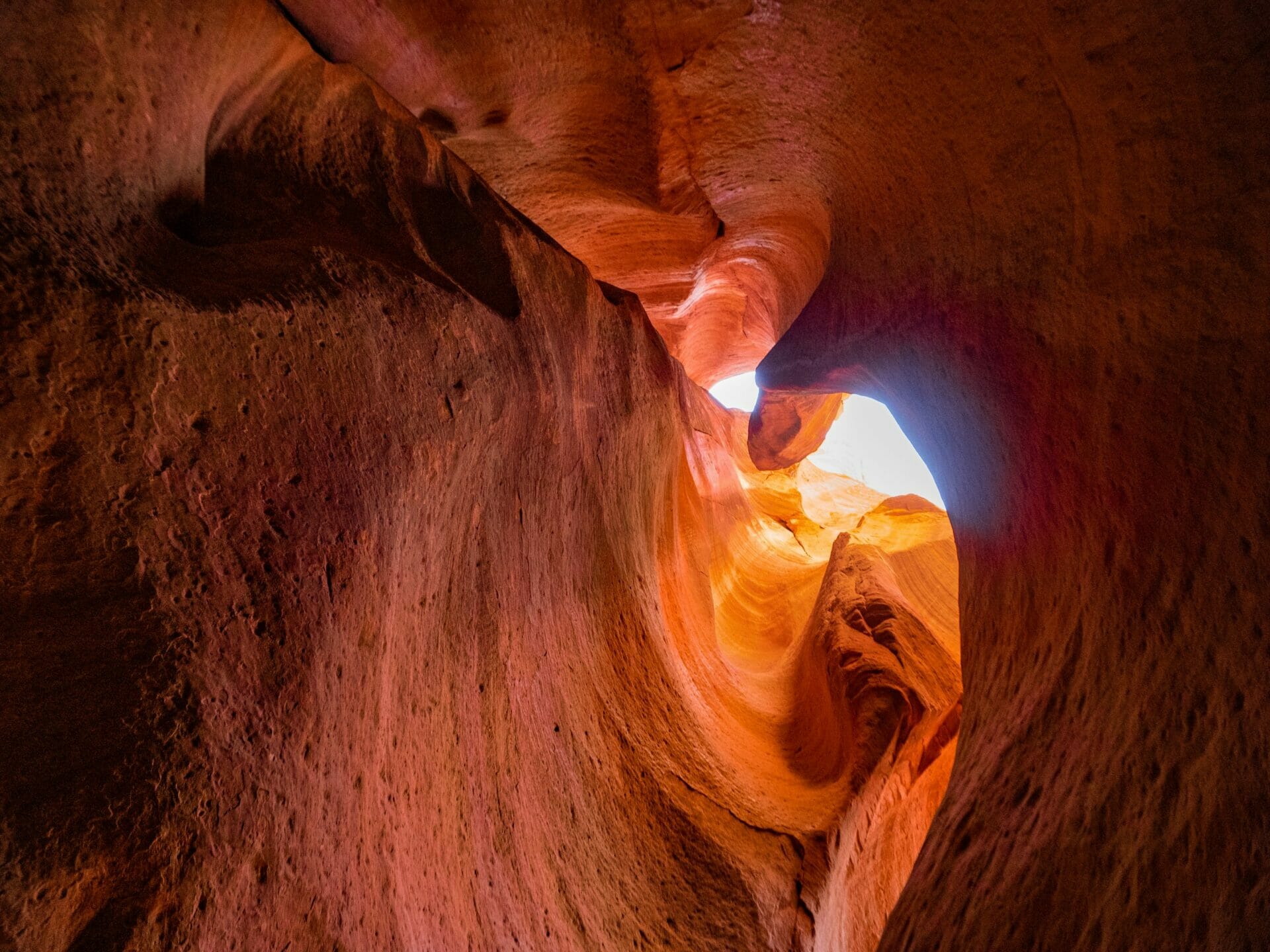 Canyoneering tour East Zion Experiences Utah Ladder Canyon