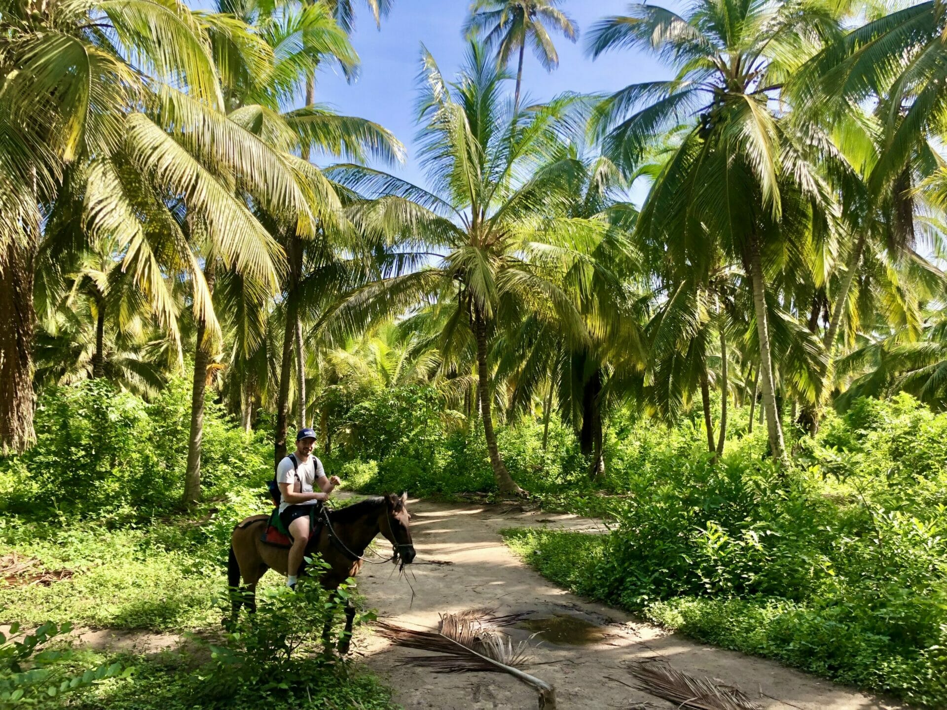 Man riding horse palm trees Tayrona National Park Colombia