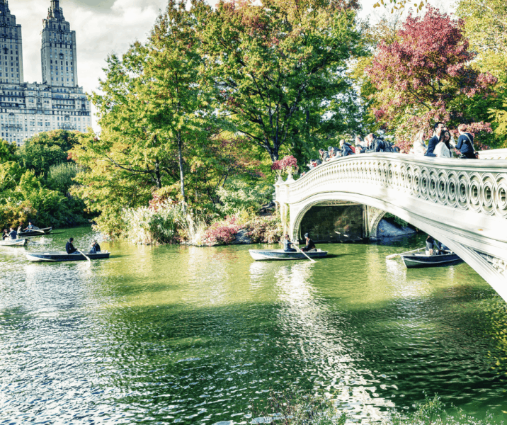 Free and Affordable Kid Friendly Attractions in NYC