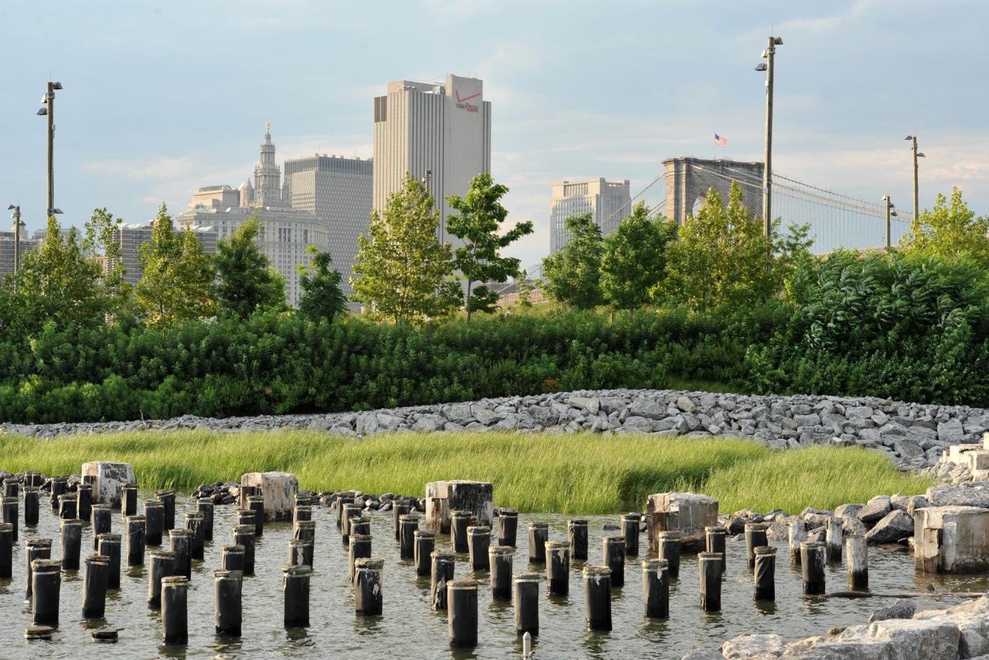 Brooklyn Park Weather Md at Karen Herr blog