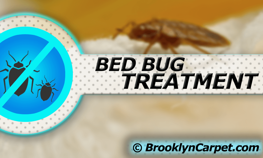 Upholstery Cleaning Brooklyn