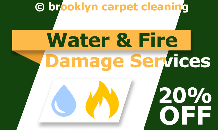 Brooklyn Carpet Cleaning Most professional cleaning services Brooklyn