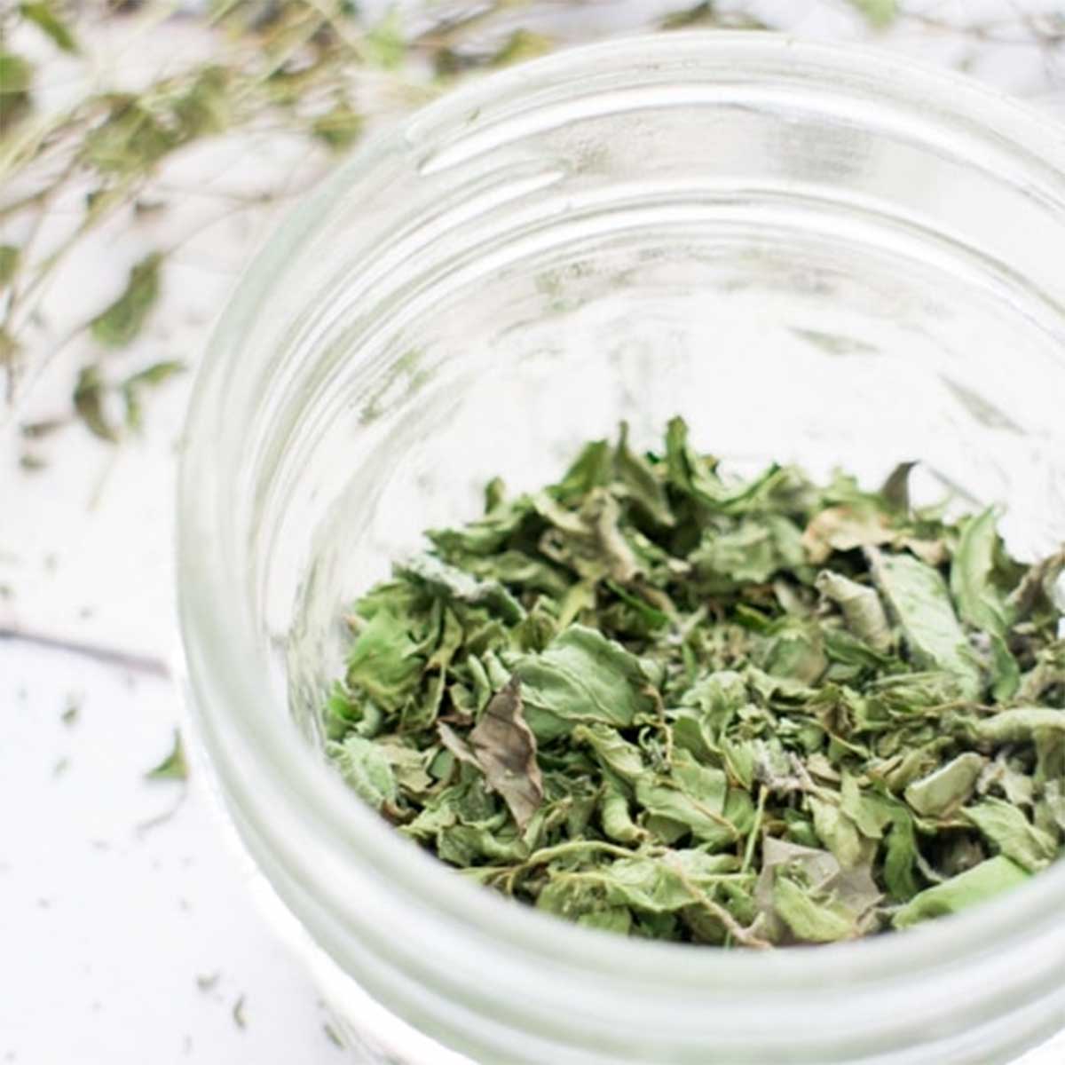 Collection 32+ Pictures how to dry peppermint leaves for tea Sharp