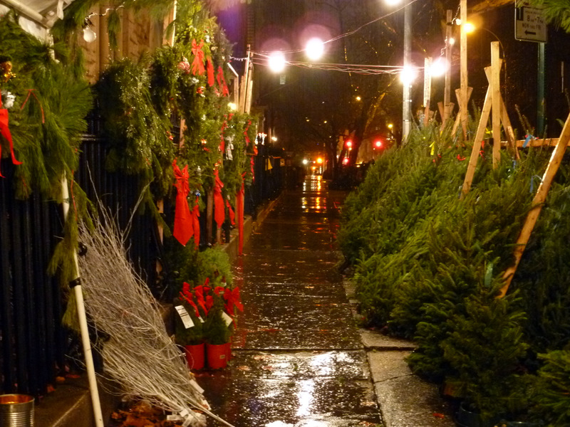 Remsen Street trees Brooklyn Heights Blog