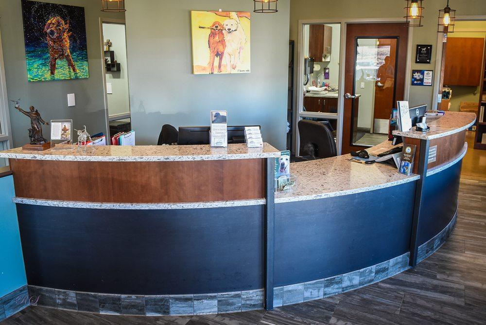 Clinic Tour Brooklyn Veterinary Services