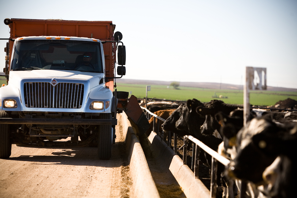 Our Process Brookover Feed Yards, Inc.
