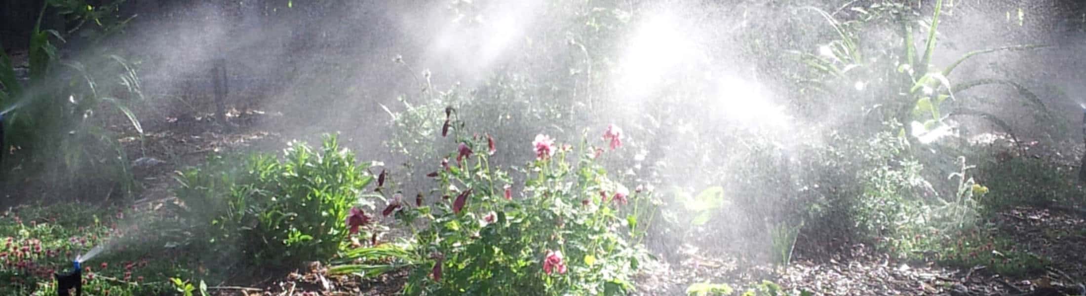 Broomfield Sprinklers a partnership for your lawn