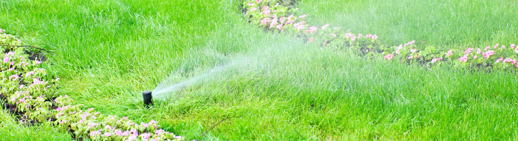 Sprinkler Services Broomfield Affordable Experienced
