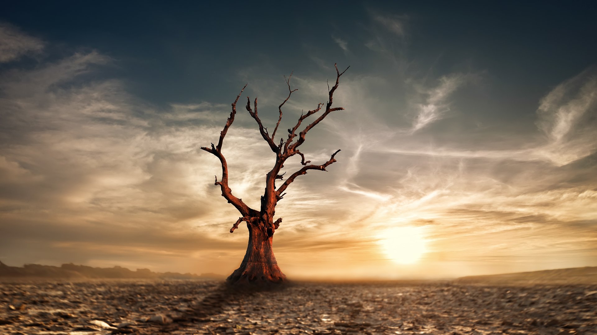 The Withered Fig Tree