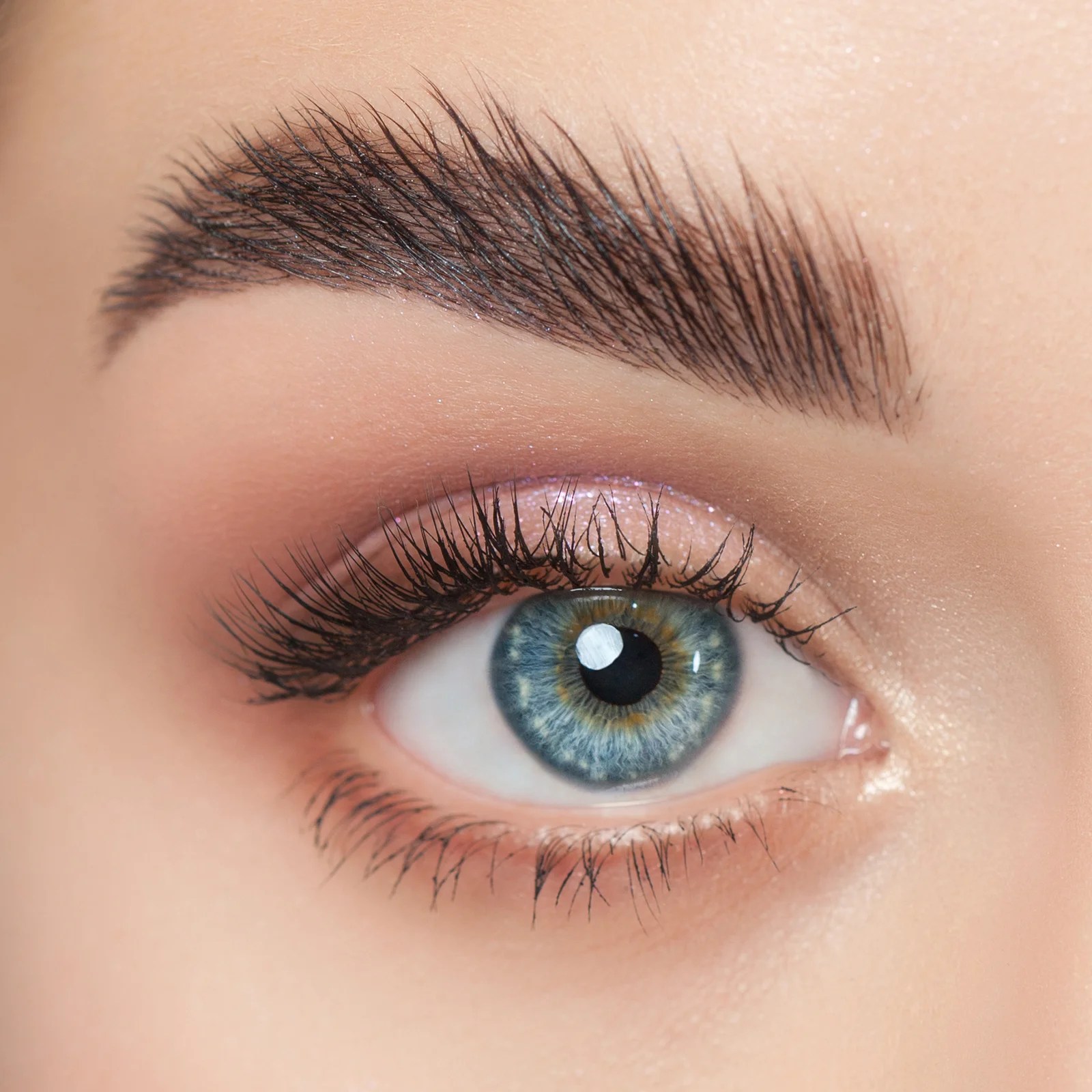 Brow Lamination Kit + Free Online Training • Brow Design International