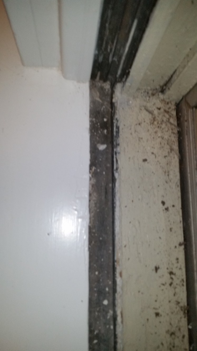 Window Condensation Glazing Repair or...? DIY Home Improvement Forum