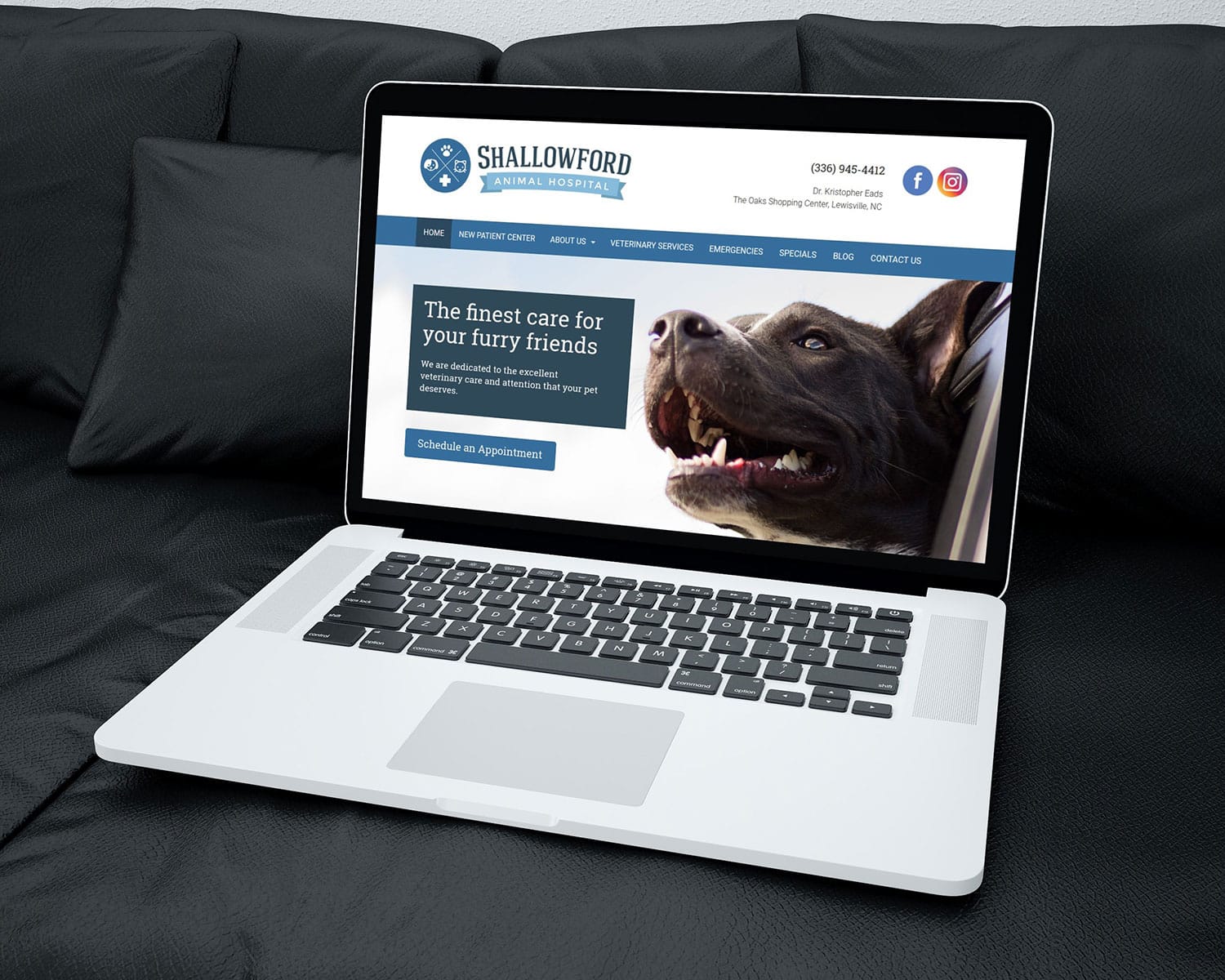 Client Spotlight Shallowford Animal Hospital Brown Creative Group