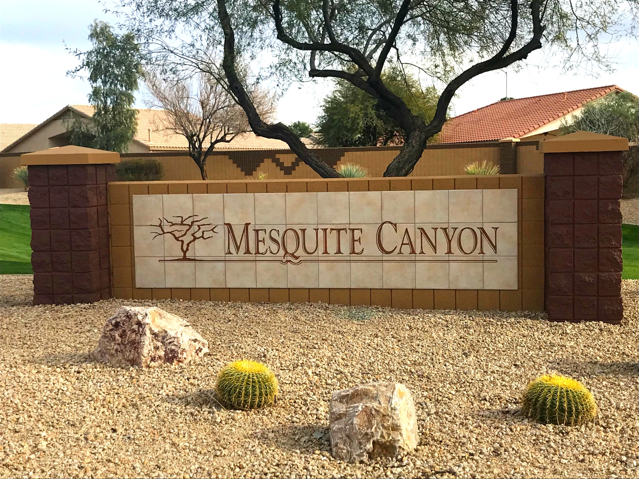 Mesquite Canyon Brown Community Management a RealManage Company