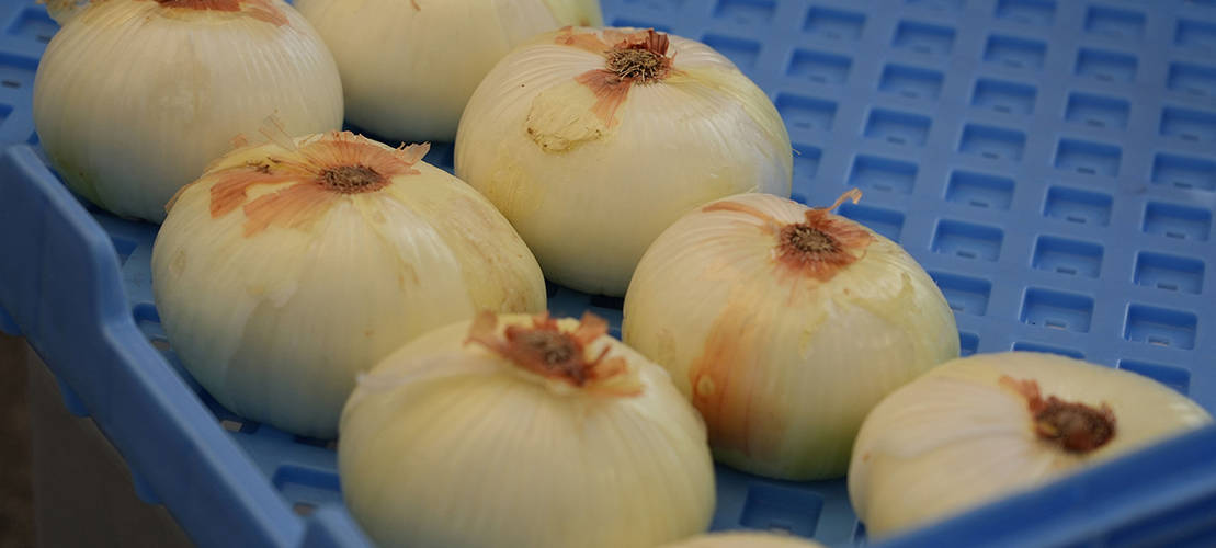 Brown Realty Company Vidalia GA Real Estate