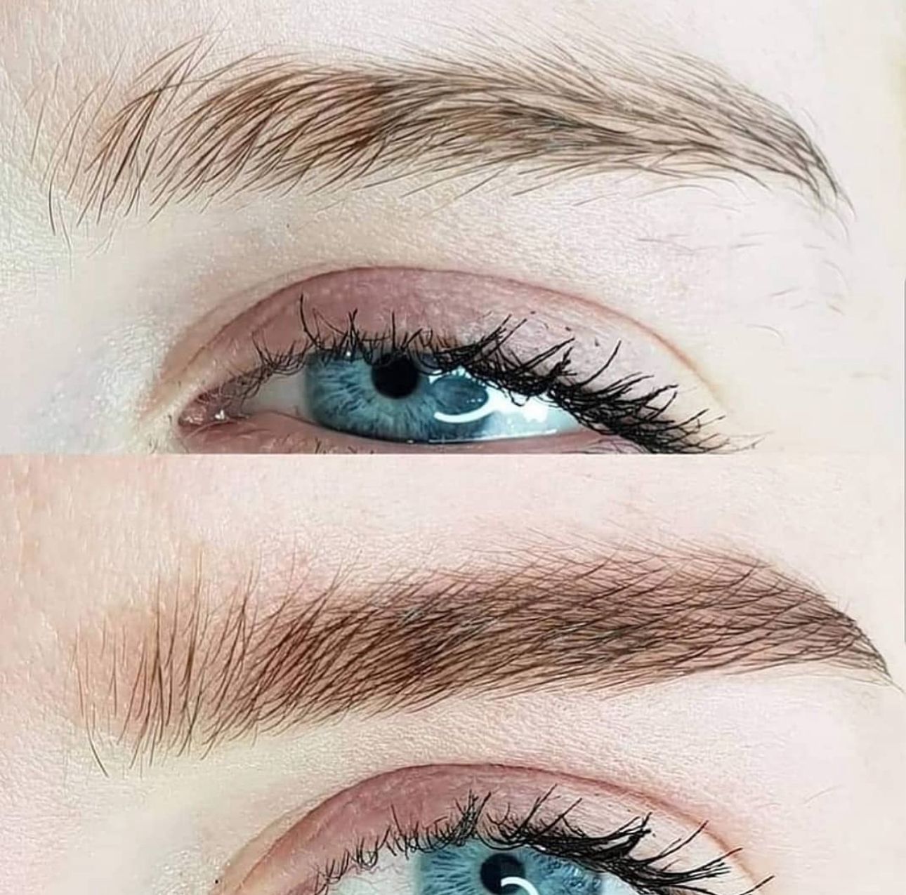 HENNA BROWS Browns & Co 1 Brow & Beauty Clinic in Dubai & Abu Dhabi