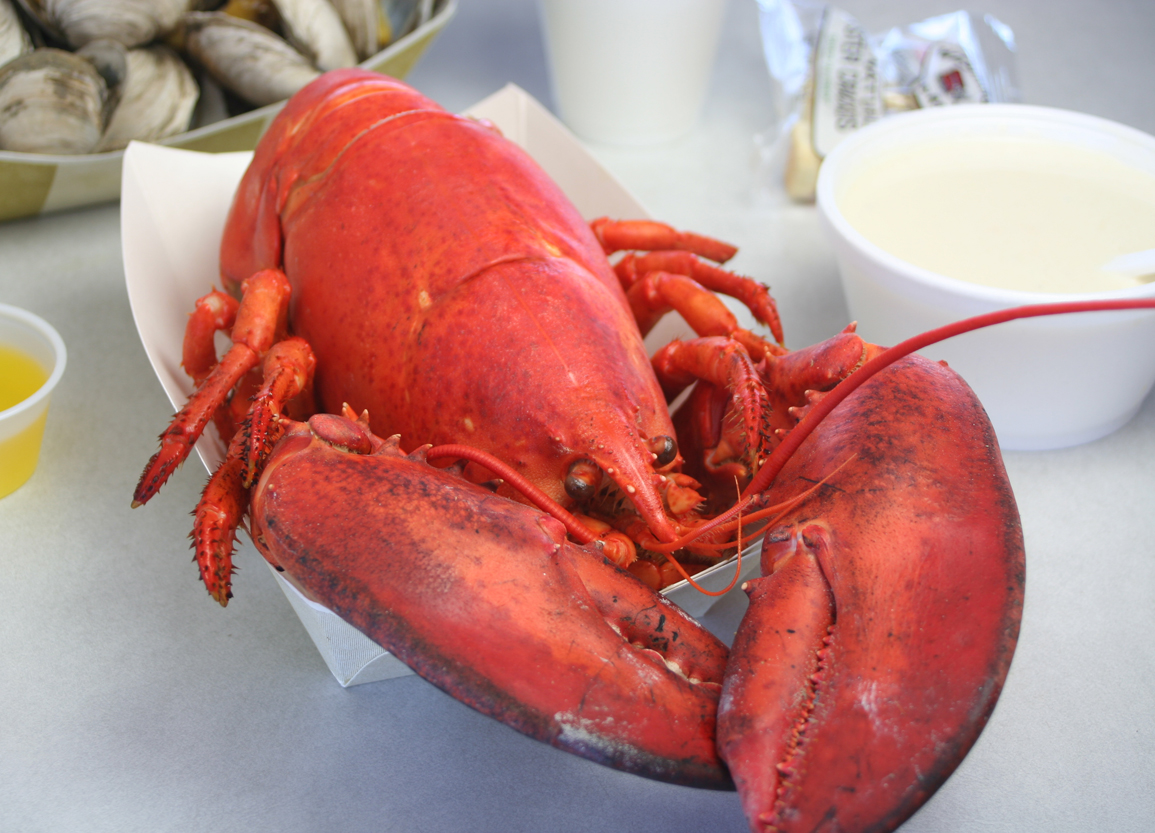 Brown’s Lobster Pound Lobster, Seafood restaurant Seabrook NH