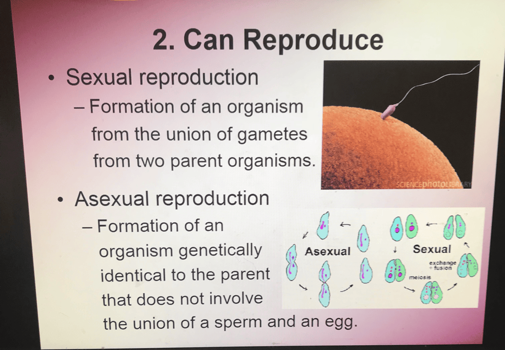 Biology brown Sugar science