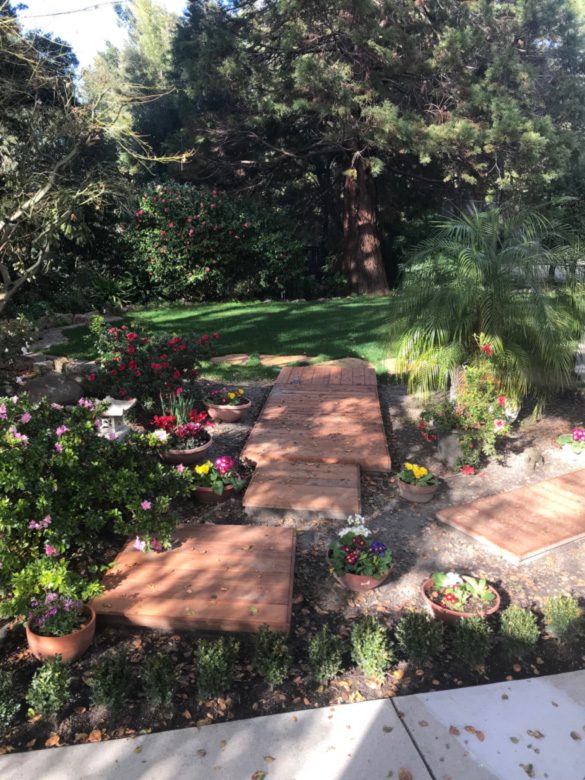 Commercial Browns Underground