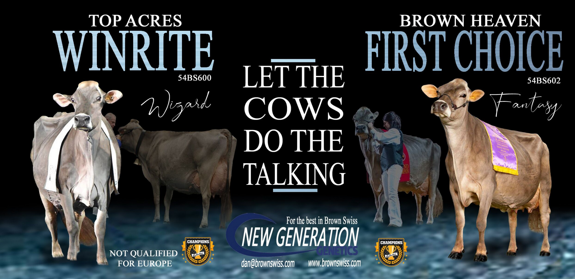 New Generation Your Brown Swiss Leader