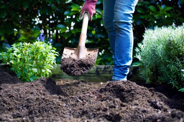 3 Ways to Prepare Soil for Planting Brown Thumb Mama®