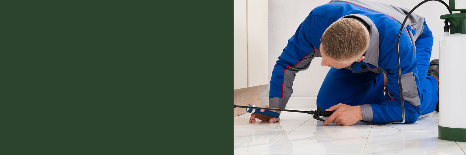 Pest Control Insurance Renewals Brownyard Group