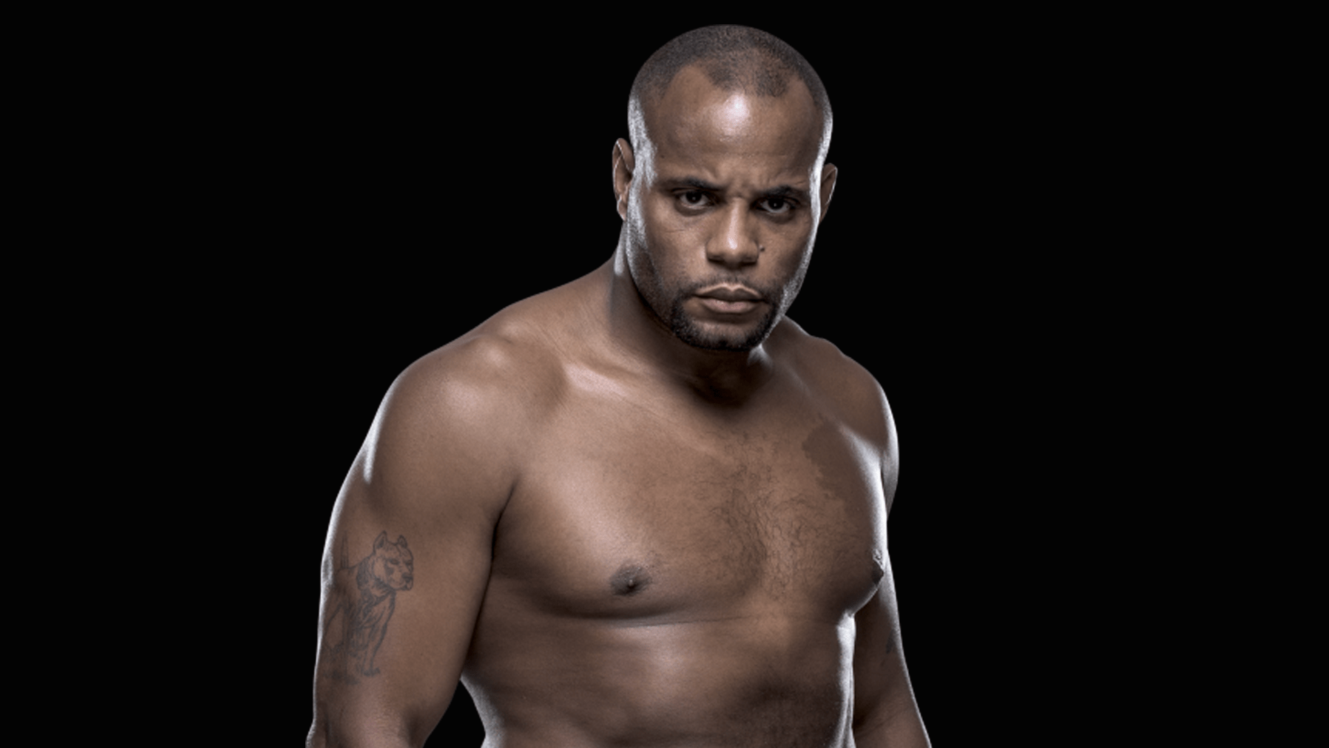 Daniel Cormier Net Worth 2021 Browsed Magazine