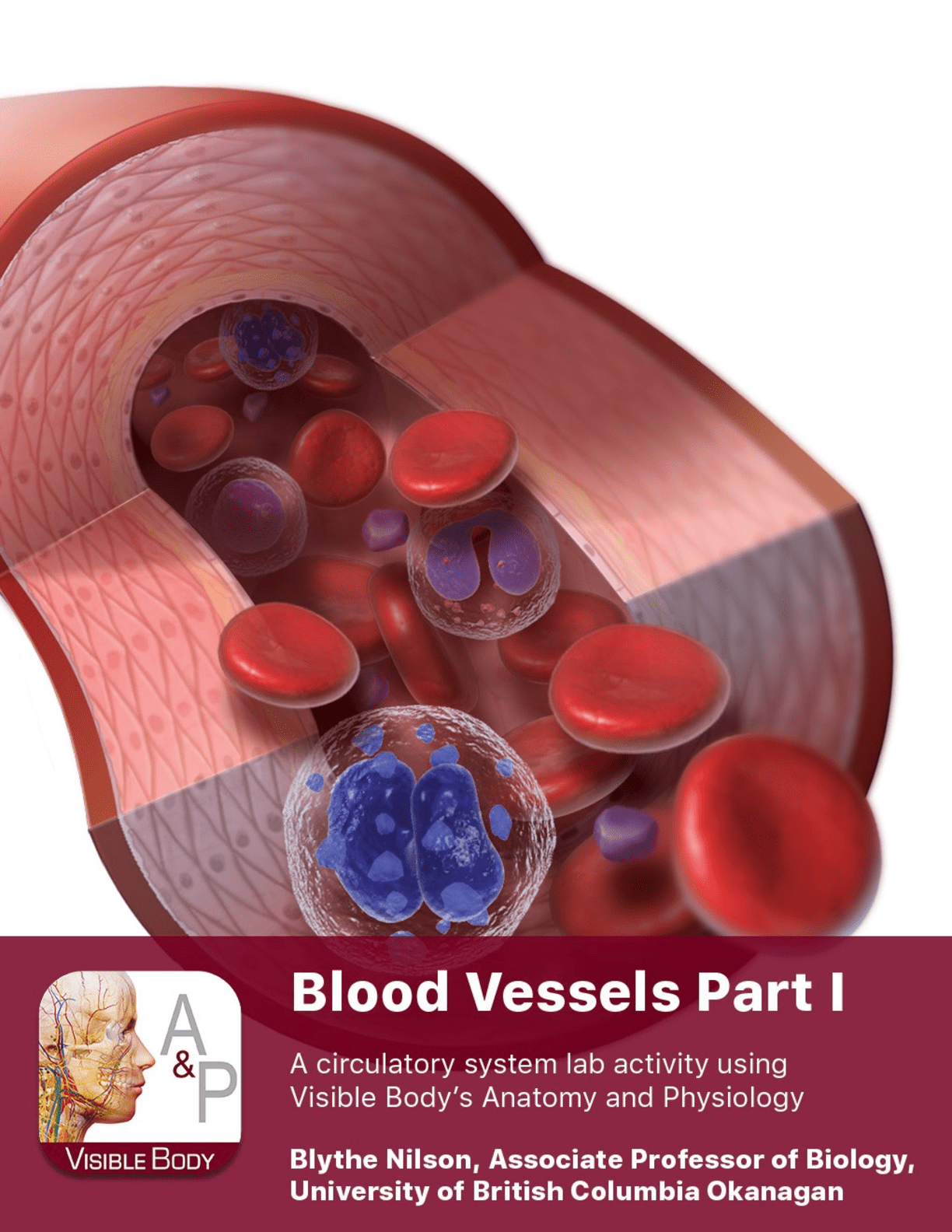 Blood Vessel Lab Browsegrades