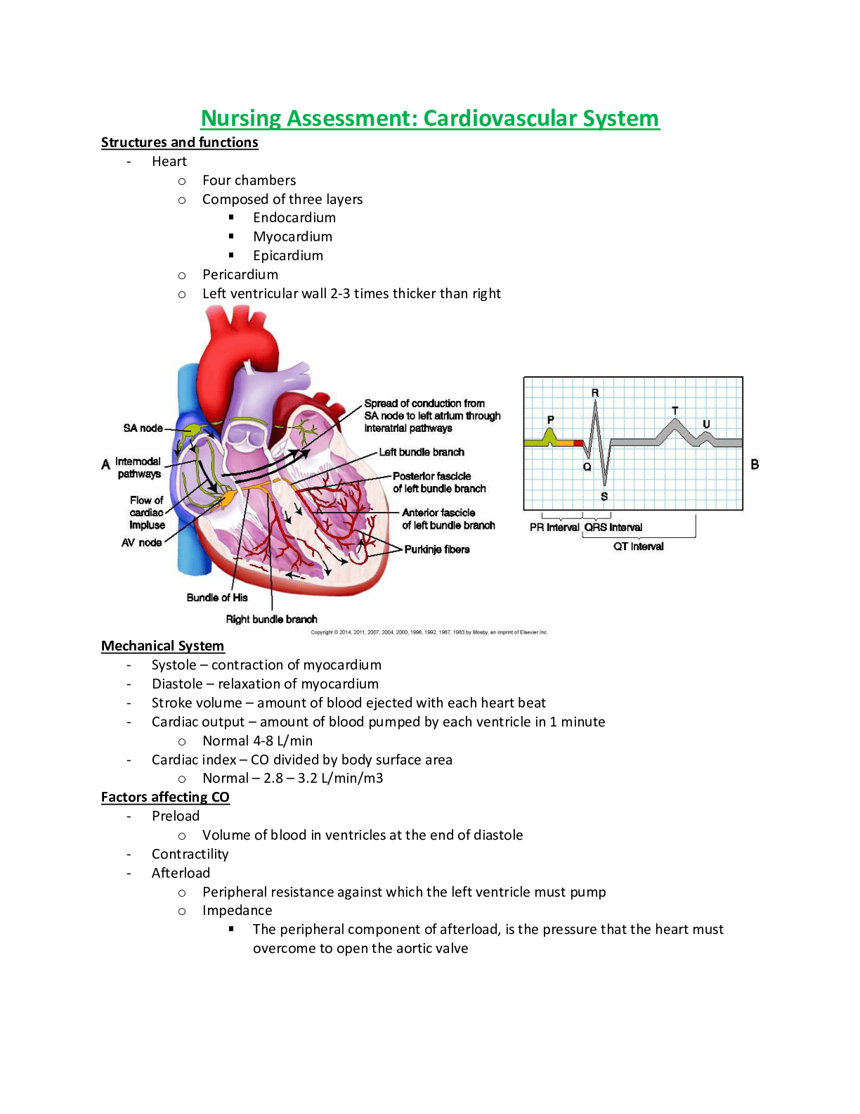 NURSING ASSESSMENT MEDSURG LEVEL 4 CARDIAC ASSESSMENT Browsegrades