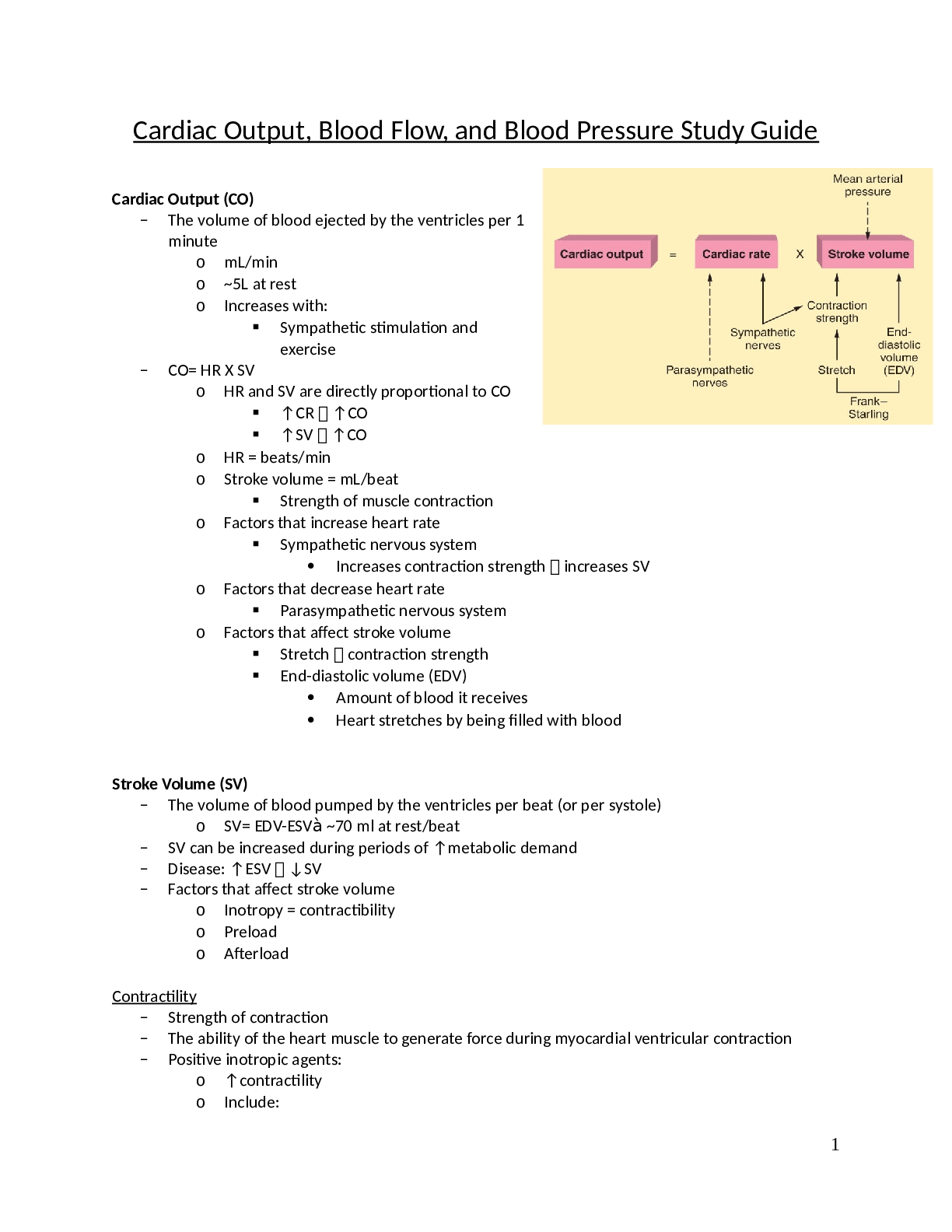 Cardiac Output, Blood Flow, and Blood Pressure Study Guide. Browsegrades