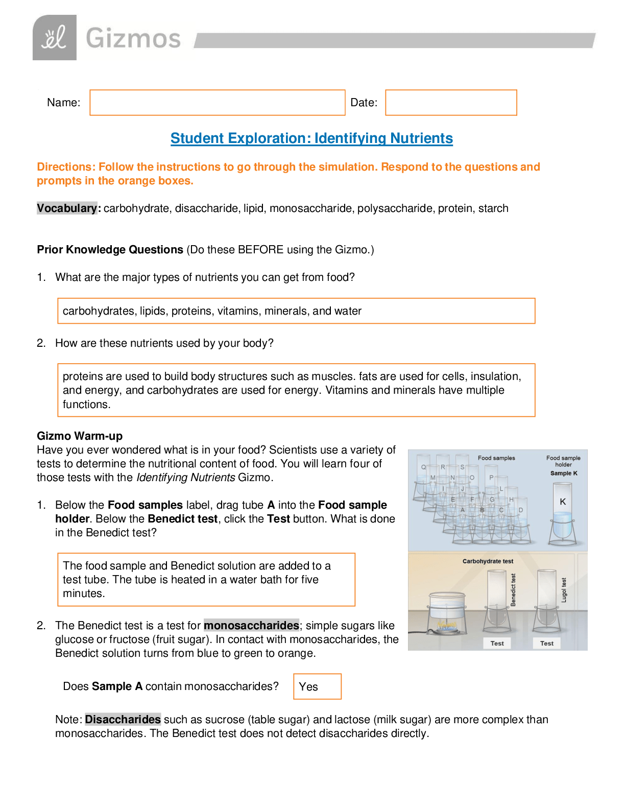 Gizmos Student Exploration Identifying Nutrients Browsegrades